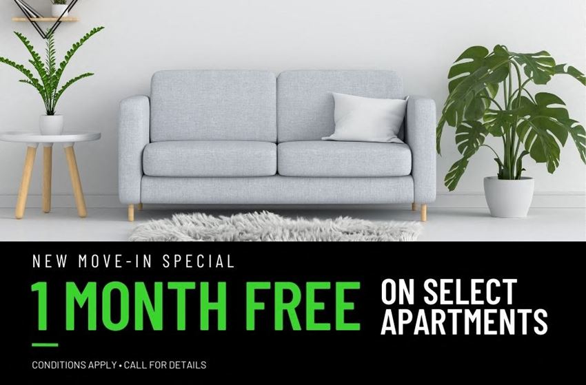 a living room with a gray couch and a plant