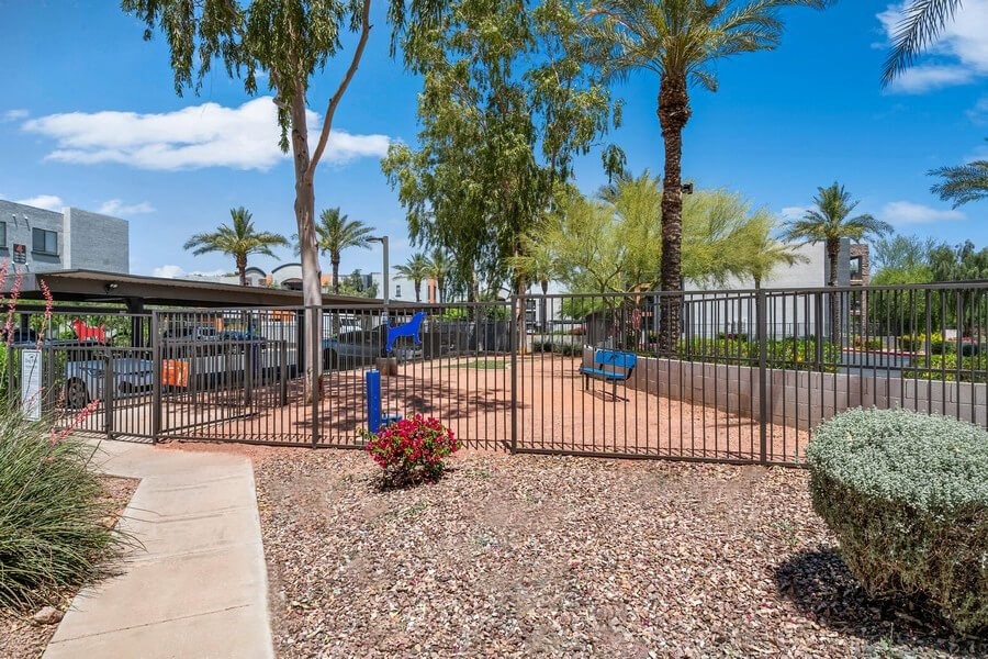 Community Dog Park with Agility Equipment at Harmony at Surprise Apartments in Surprise, AZ.