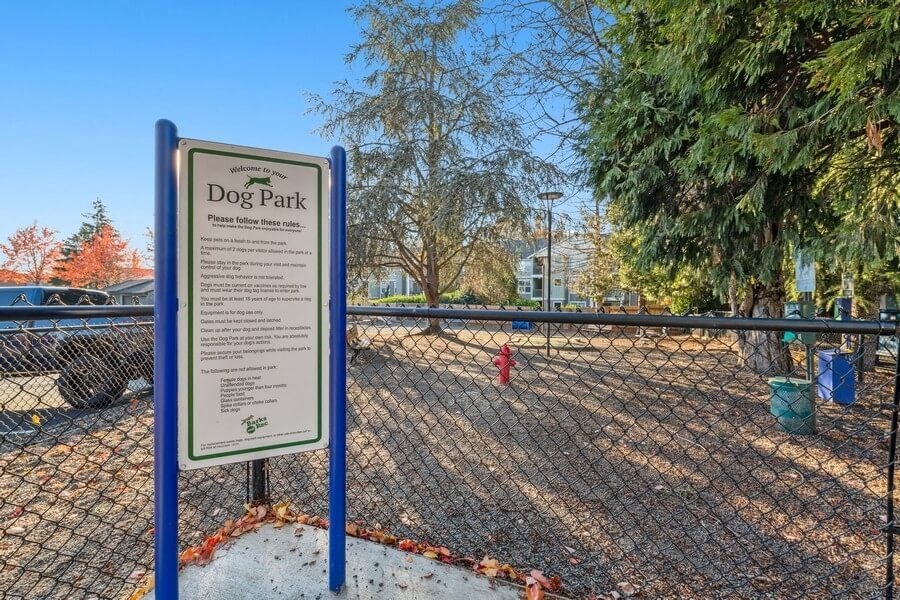 Fenced in dog park