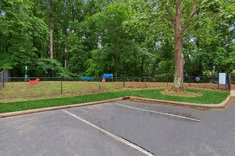 Community Dog Park with Agility Equipment at Park 2300 Apartments in Charlotte, NC.