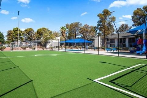 Soccer field