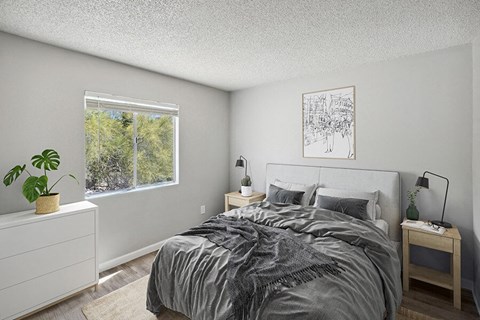 One-Bedroom Apartments in Catalina Foothills, AZ - Hilands - Cozy Bedroom With Upholstered Headboard, Side Tables With Lamps, Large Window Views, And Wood-Style Flooring.