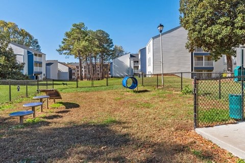 Dog park with agility equipment