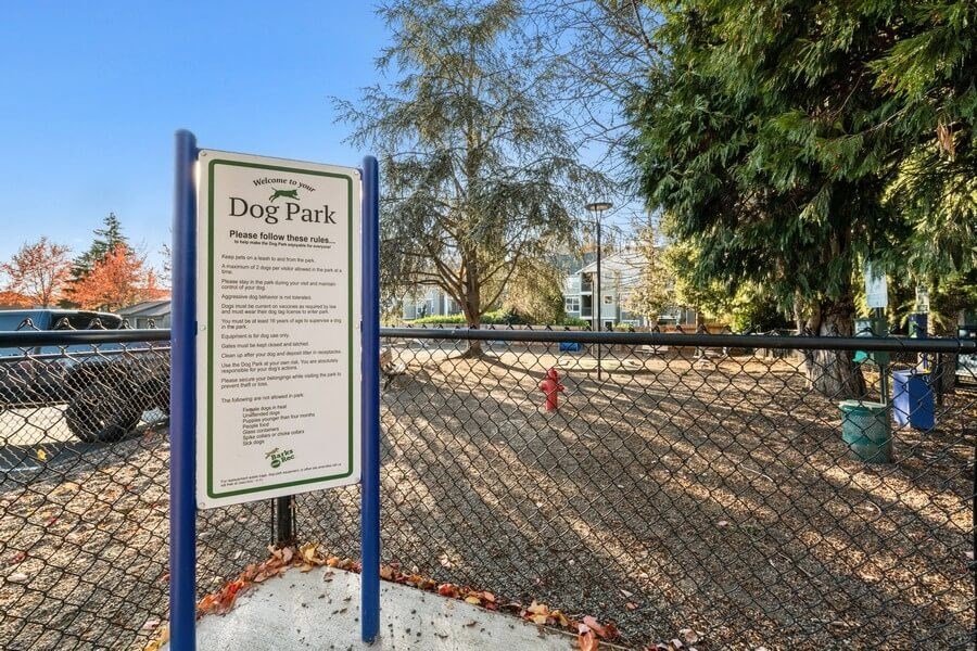 Fenced in dog park