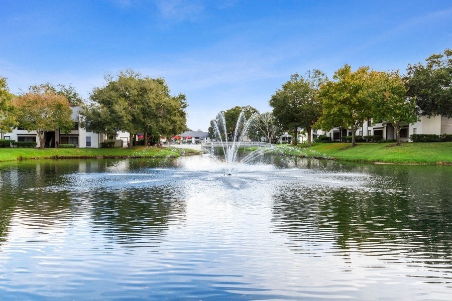 Large pond on property