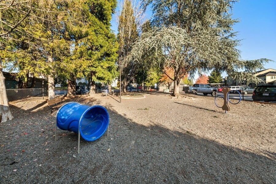 Dog park with agility equipment