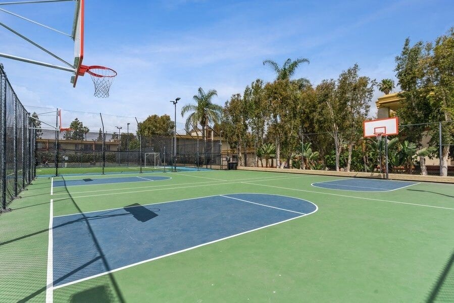 Basketball court
