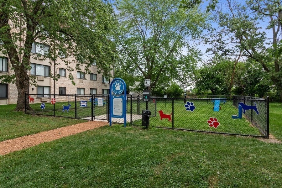 Dog park with agility equpiment