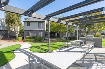 Community grills and picnic area - Photo Gallery 10