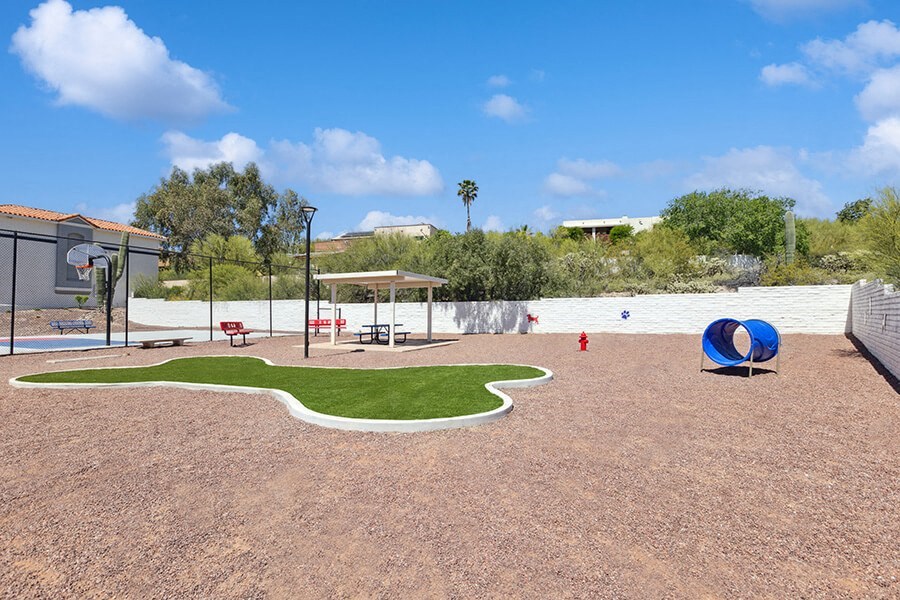Community Dog Park with Agility Equipment at Hilands Apartments in Tucson, AZ.