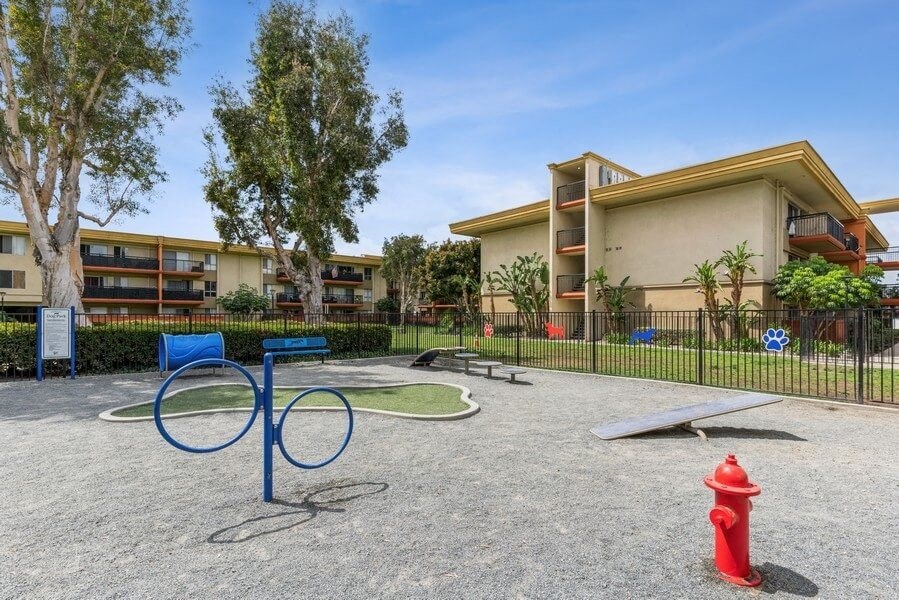 Dog park with agility equipment