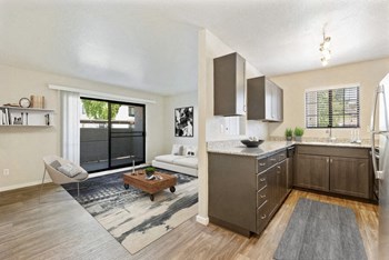 Model kitchen and living room - Photo Gallery 2