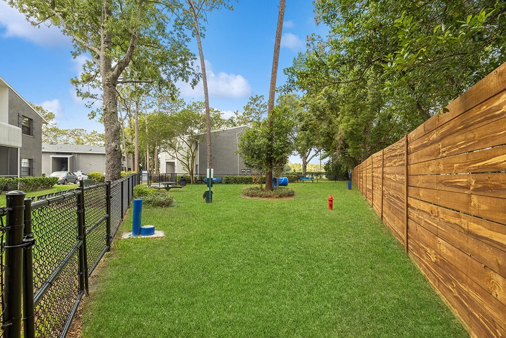 Dog park with agility equipment