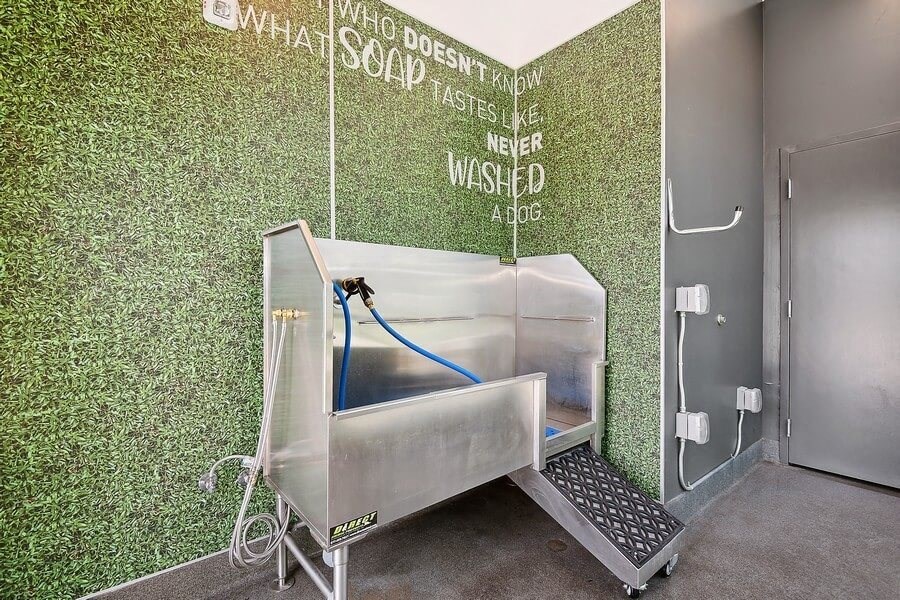 Dog cleaning station