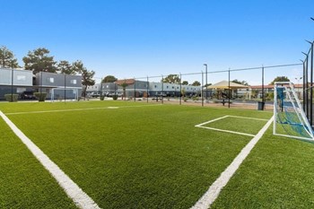 Soccer field - Photo Gallery 19