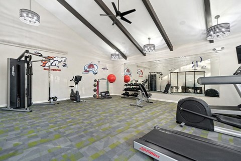 Community Fitness Center with Equipment at Liberty Creek Apartments in Aurora, CO.