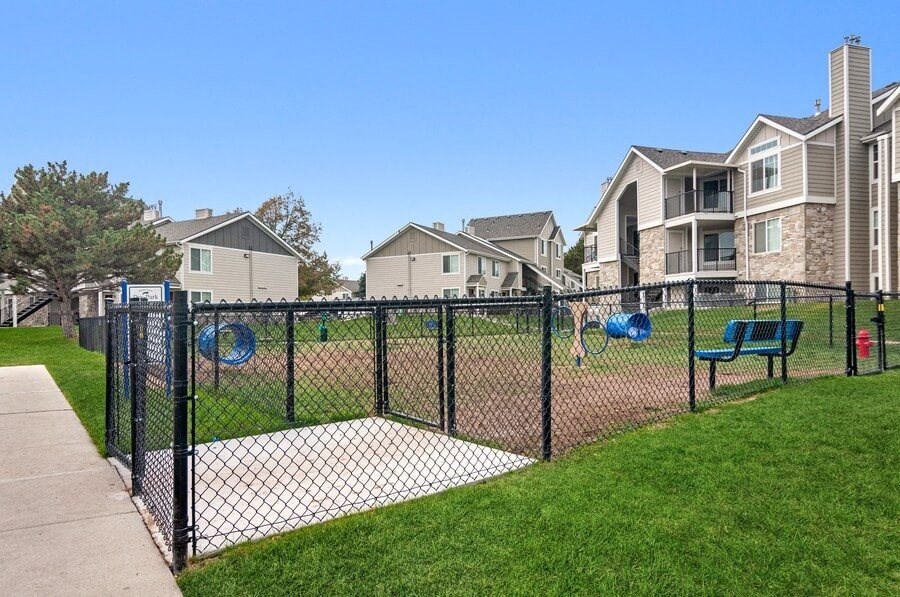 Fenced in dog park