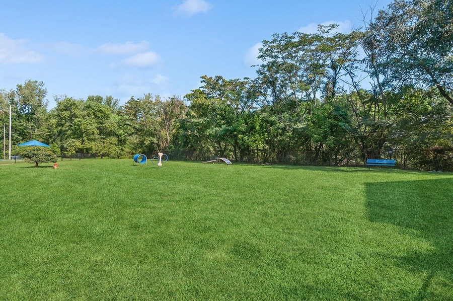 Stoney Trace Apartments, 4616 Stoney Trace Drive, Charlotte, NC RentCafe