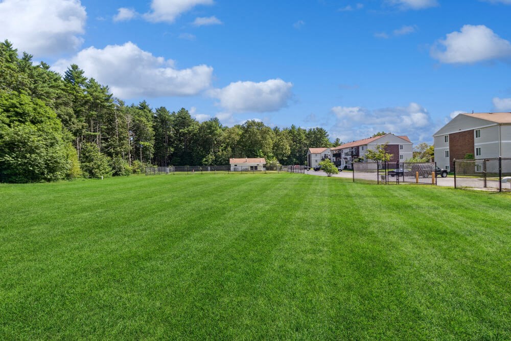 Large outdoor green space