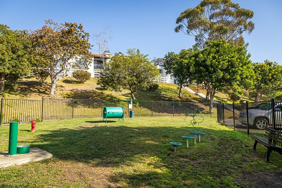 Community Dog Park with Agility Equipment at Santa Fe Ranch Apartments located in Carlsbad, CA.
