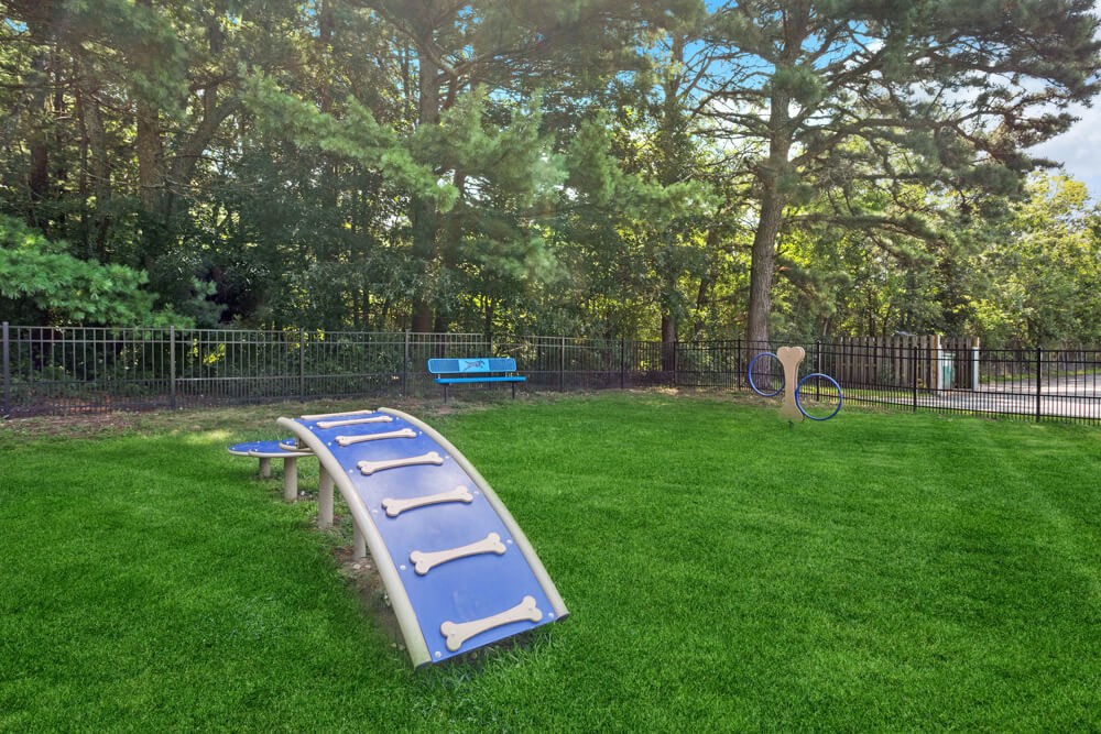 Dog park with agility equipment