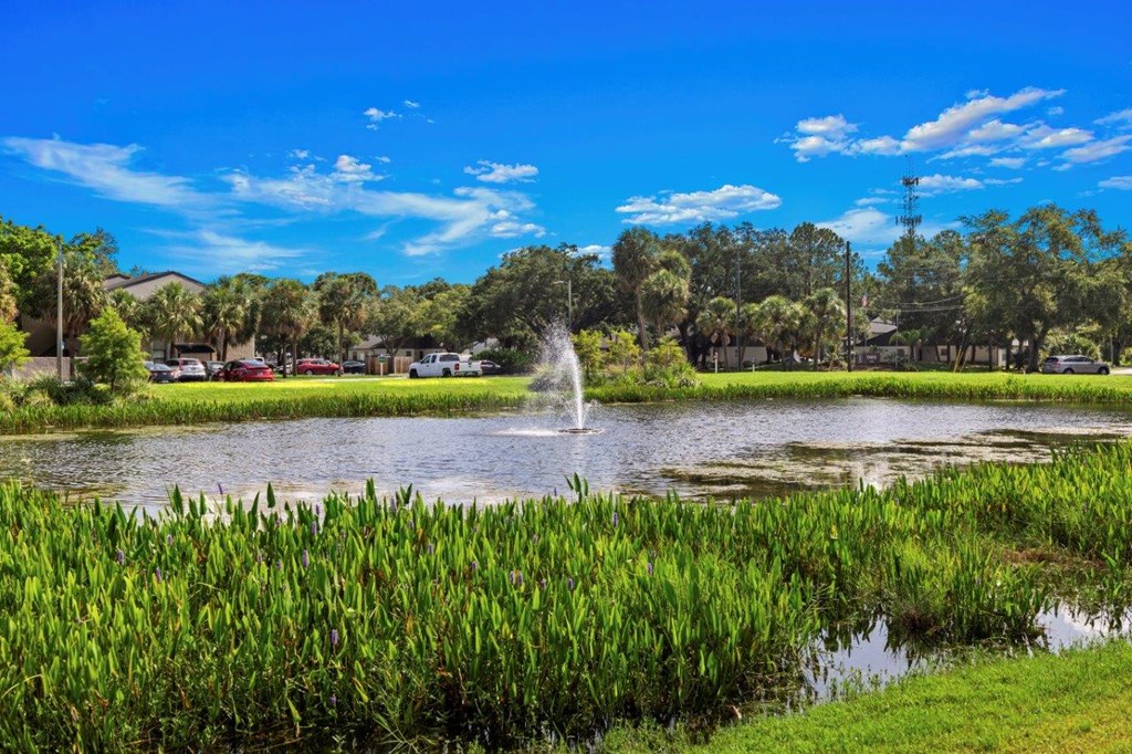 Community lake at Oasis at Bayside Apartments in Largo, FL