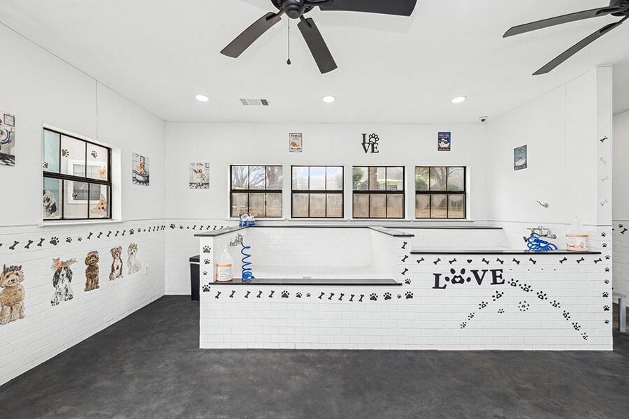 Community Dog Wash Station at Bridges at Oakbend Apartments located in Lewisville, TX.