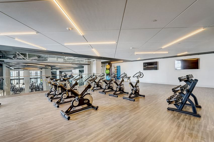 a gym with cardio machines and weights on a wooden floor