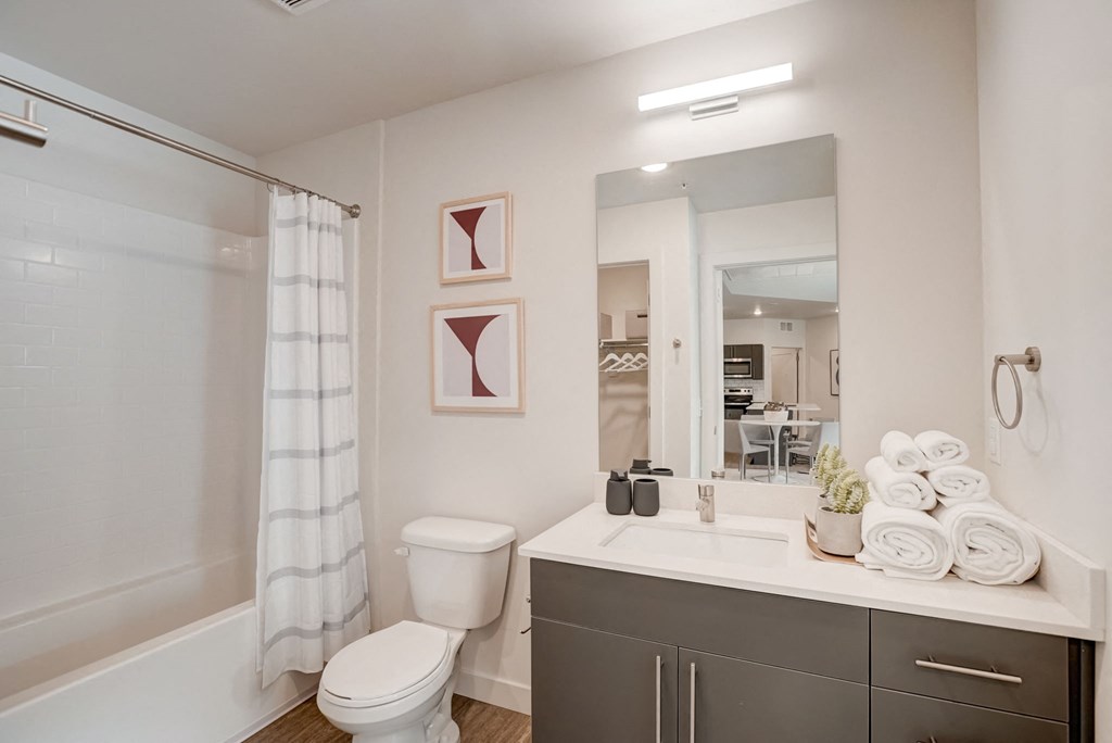 a bathroom with a sink and a toilet and a shower