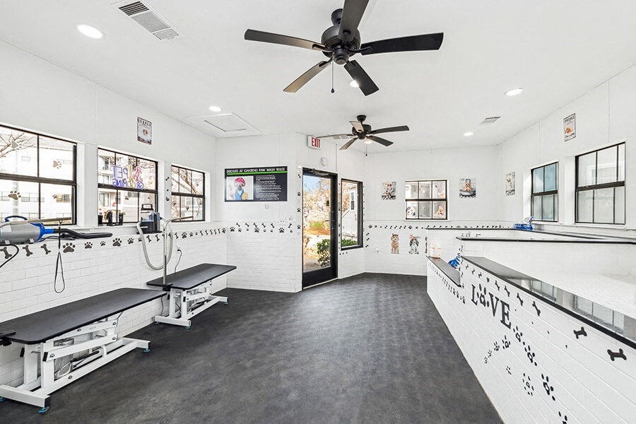 Community Dog Wash Station at Bridges at Oakbend Apartments located in Lewisville, TX.