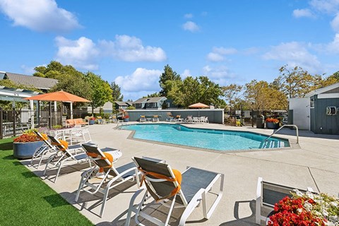 Community Swimming Pool with Pool Furniture at Bridges on Sunset Apartments located in Suisun City, CA.