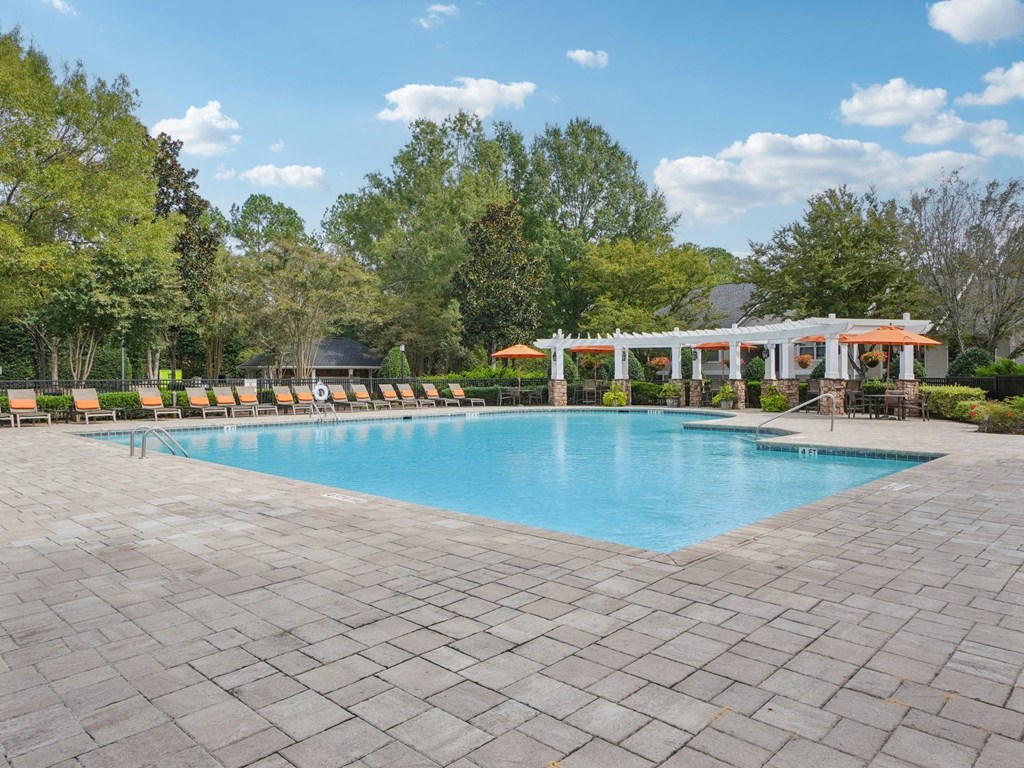 A large swimming pool surrounded by trees and sun loungers.