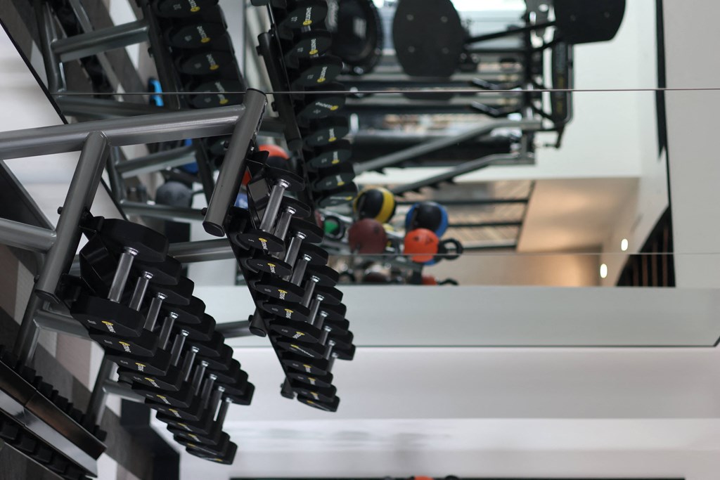 a row of dumbbells hanging from the ceiling in a gym