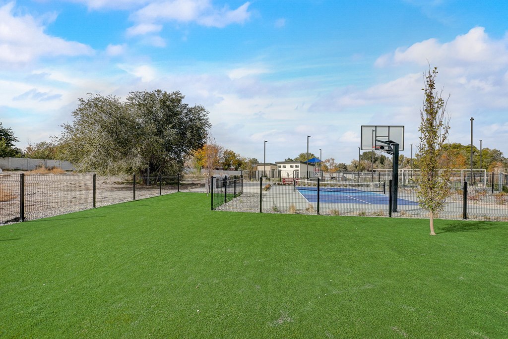 basketball and tennis