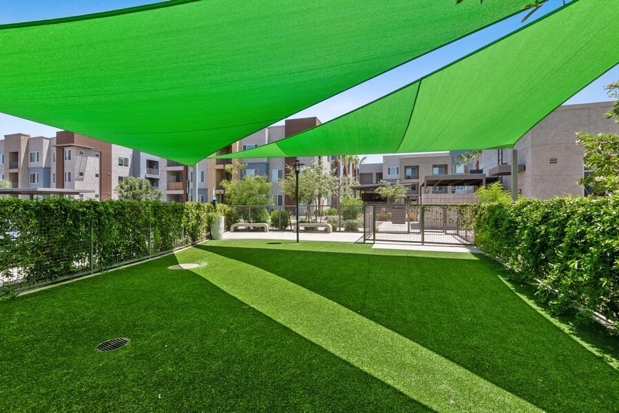 Outdoor covered dog park with grass