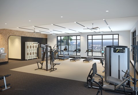 A modern gym with a variety of equipment including a treadmill, weights, and a bench press.