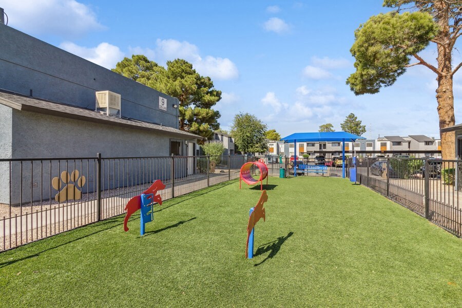 a dog park with agility equipment in a yard next to a building