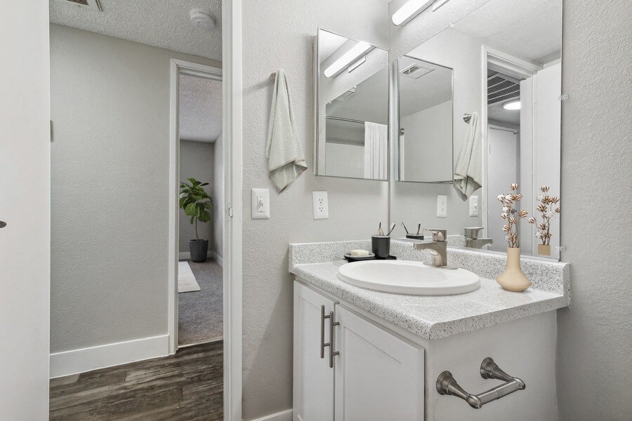 a bathroom with a sink and a mirror