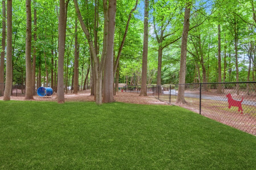 a dog park with green grass and trees