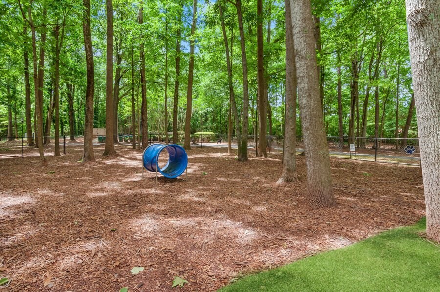 community dog park