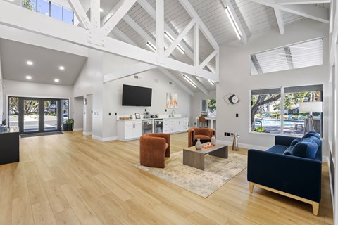A spacious living room with a blue couch and a wooden floor.