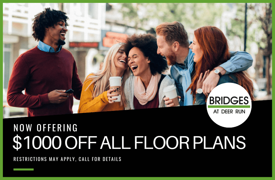 Bridges At Deer Run Apartments, 3637 Trinity Mills Rd., Dallas, TX