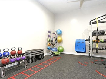 Medicine balls and yoga balls area in gym