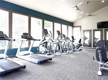 Treadmills in the gym looking out windows.
