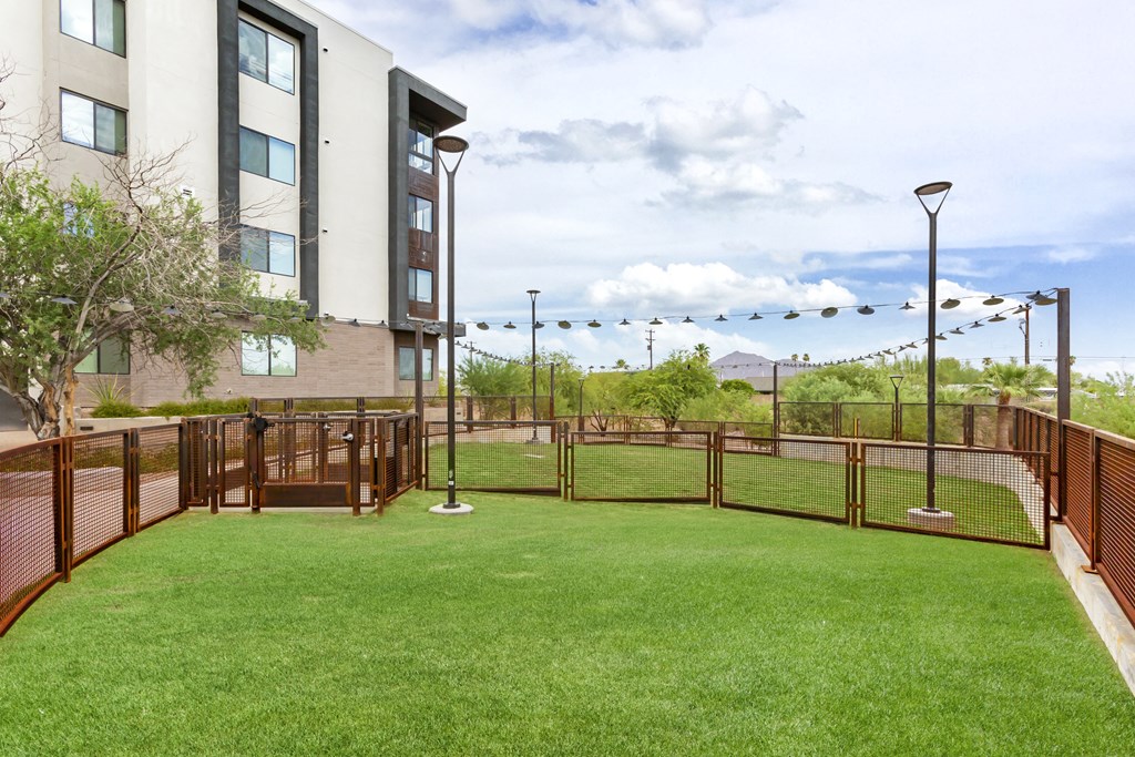 the preserve at ballantyne commons dog run with grass