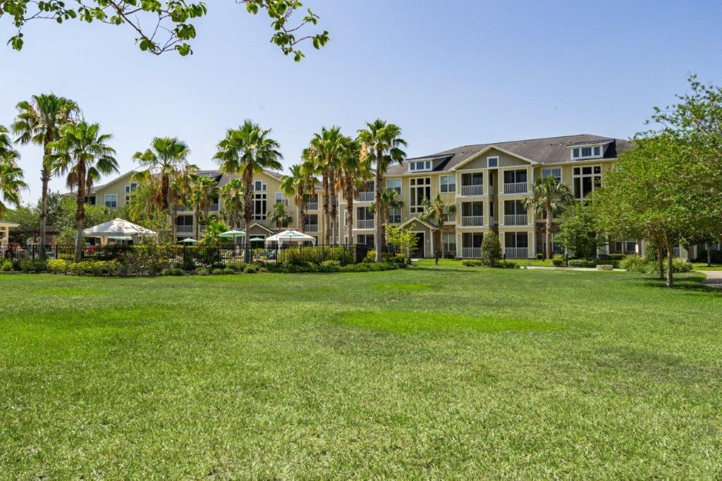 A large grassy area in front of a building with palm trees  at Bridges at Crosstown in Tampa, FL