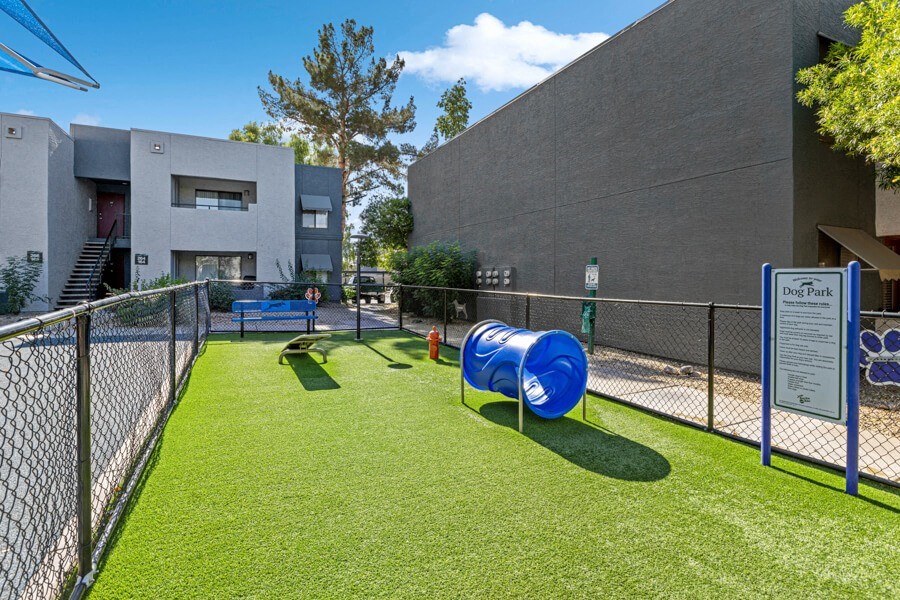 dog park with agility courses