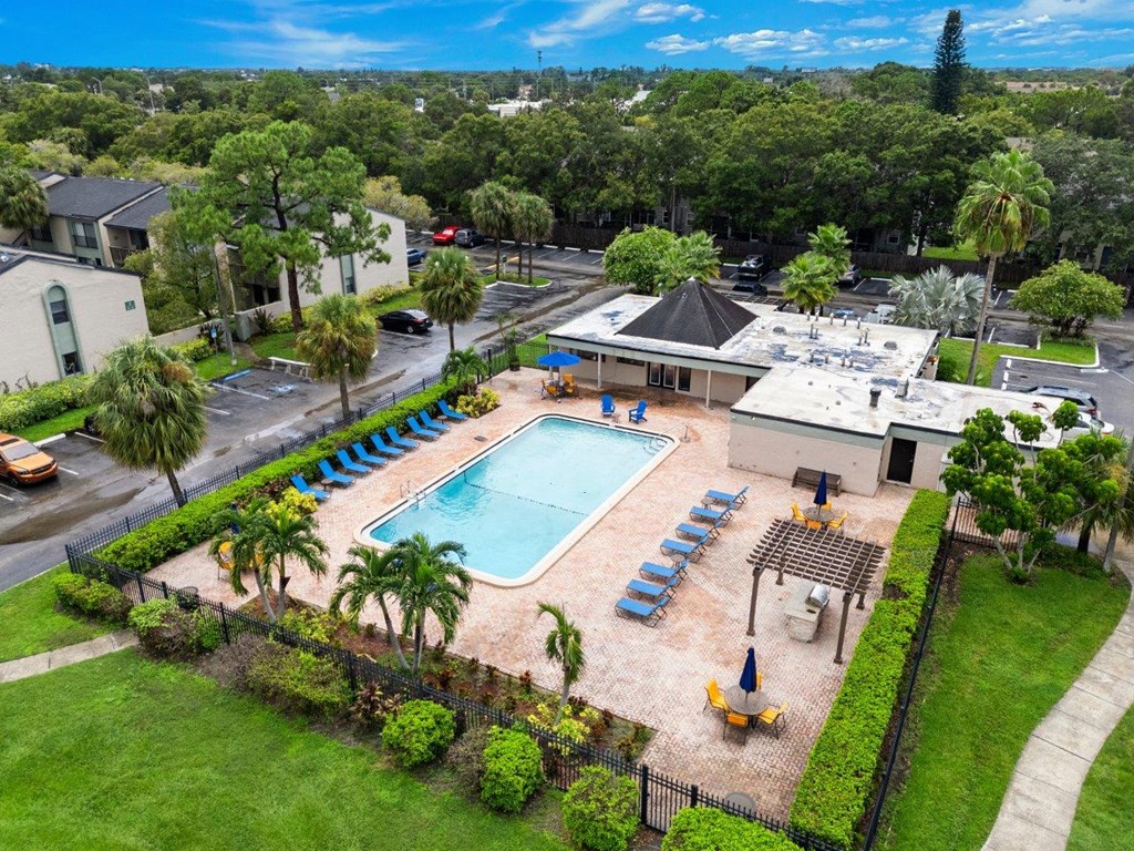 swimming pool at Oasis at Bayside Apartments in Largo, FL
