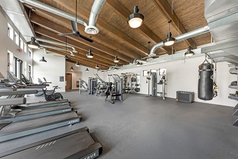 A gym with treadmills and other exercise equipment.