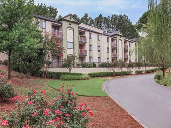 Apartment property entrance road with beautiful landscape - Photo Gallery 4